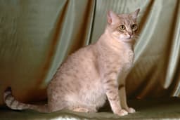 Thumbnail Image 7-1CtKMRr