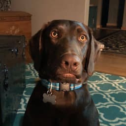 Thumbnail Image -GnlzQbmR