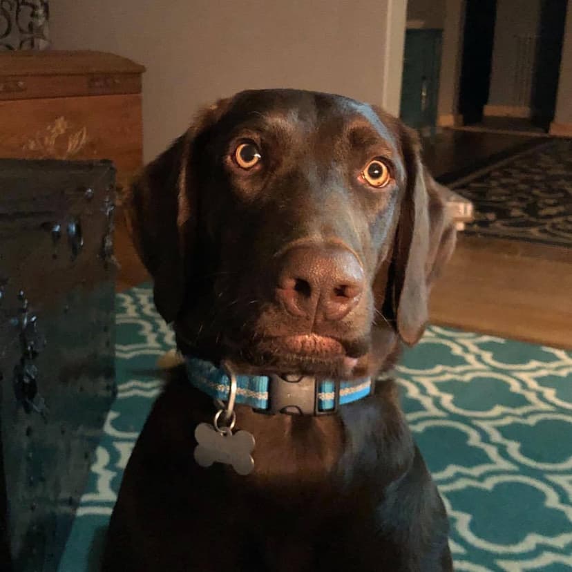 Selected Image -GnlzQbmR