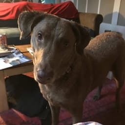 Thumbnail Image -QbEXksWV