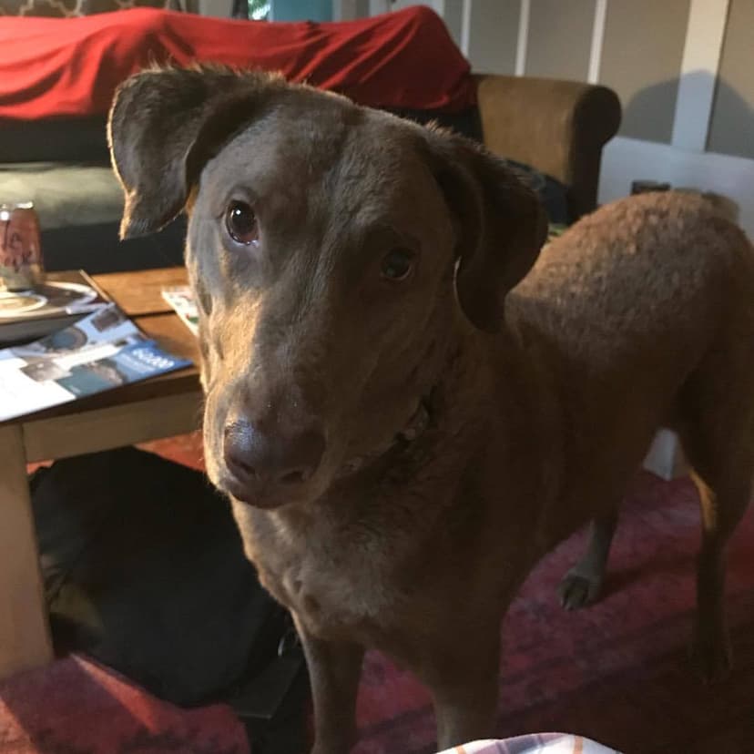 Selected Image -QbEXksWV