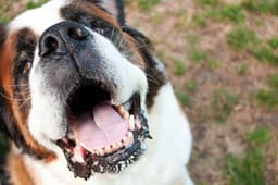 Thumbnail Image 135XZc4x1