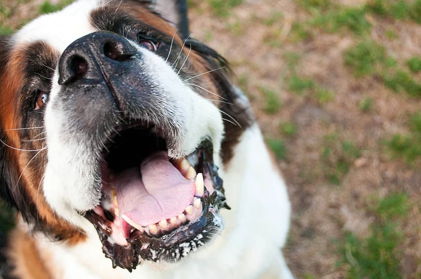 Selected Image 135XZc4x1