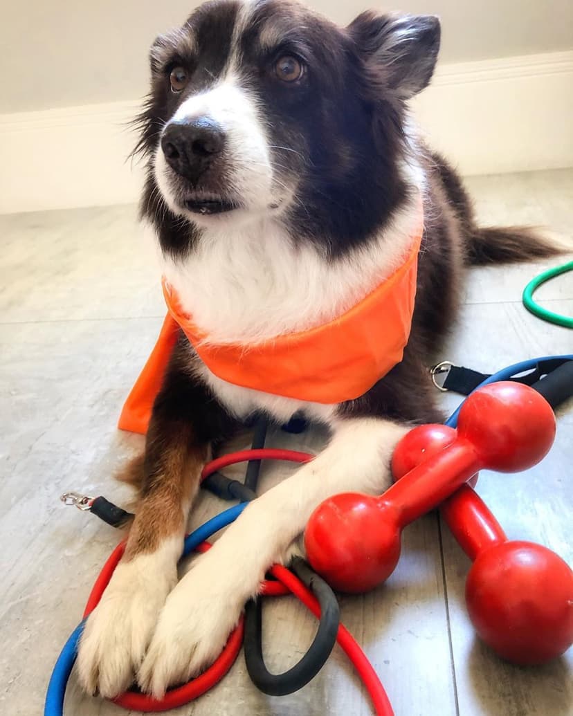 Selected Image 38KoA9gGB