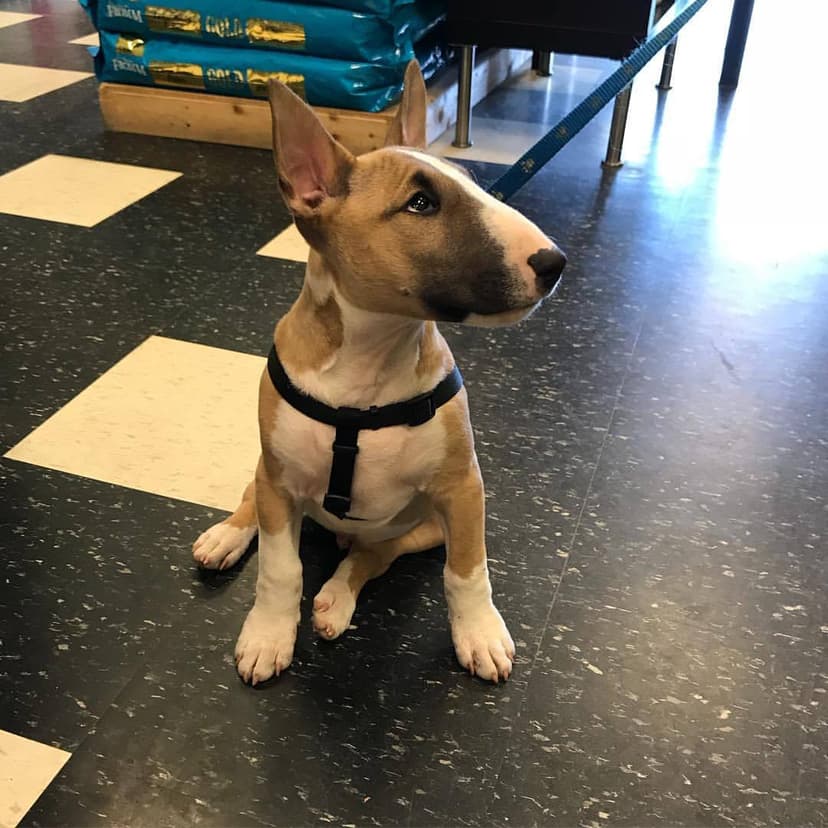 Selected Image 8WPhRloCS