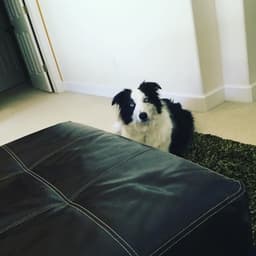 Thumbnail Image 9LkzqFTjO