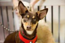 Thumbnail Image B13NtuhSm