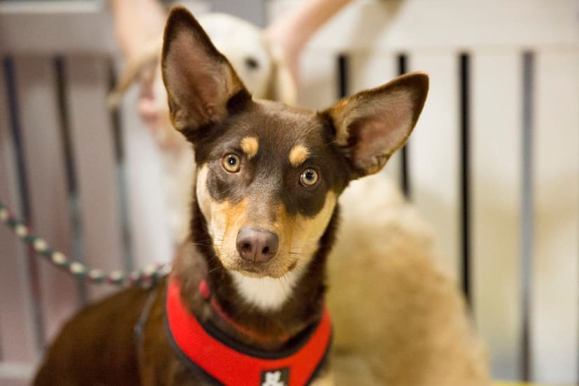 Selected Image B13NtuhSm