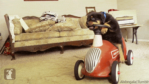 Selected Image BJWc57iNQ