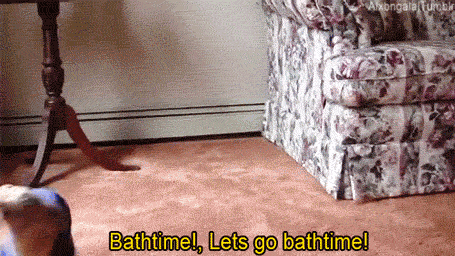 Thumbnail Image BJkpaDaNX