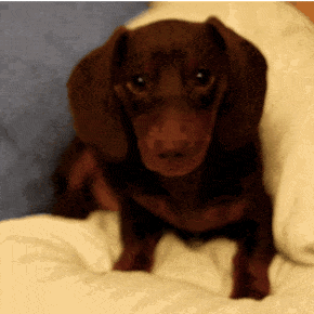 Selected Image Bk-WET6Em