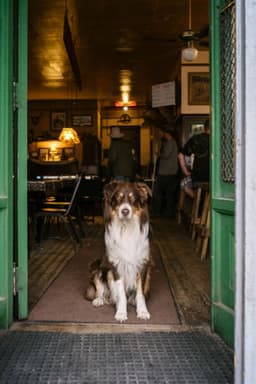 Thumbnail Image ByBOFuhBX