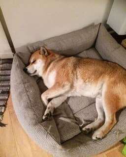 Thumbnail Image Cr3YuxzEV