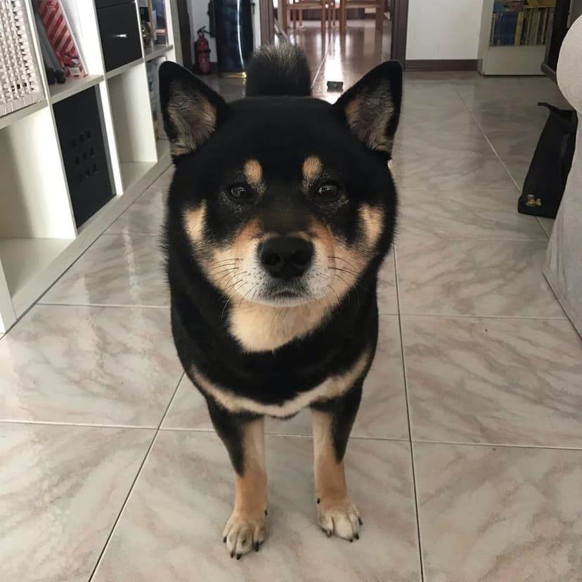 Selected Image GZbsnFkqD