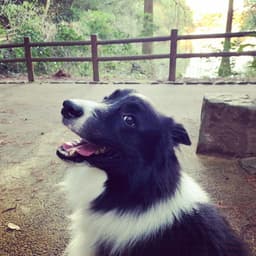 Thumbnail Image Ld0_u3Ubg