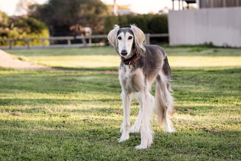 Selected Image Mncs8eeby