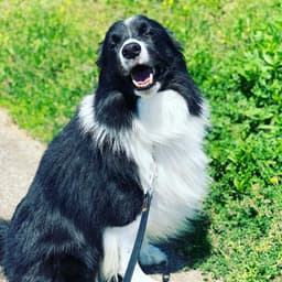 Thumbnail Image NyW9yv8vj