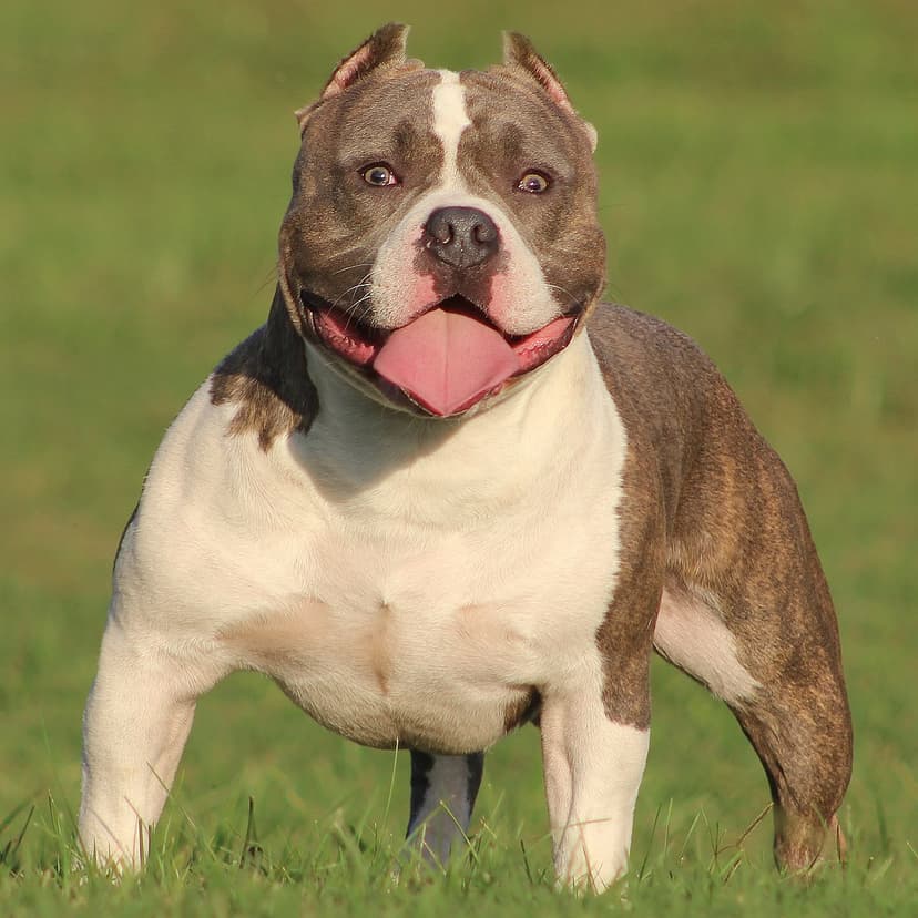 Selected Image PTBCQmT0h