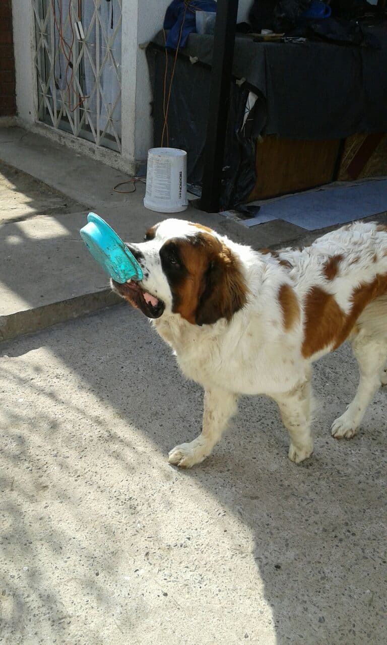 Selected Image V8ZEfQ69m