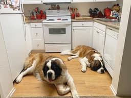 Thumbnail Image V8hgHJeCp