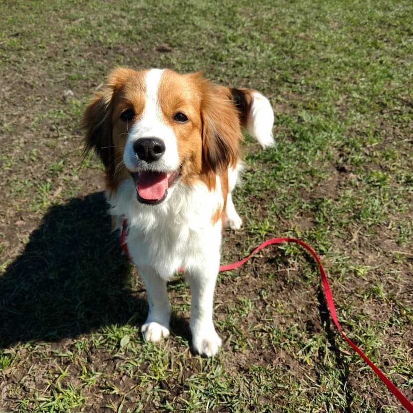 Selected Image VOmeXxwUp