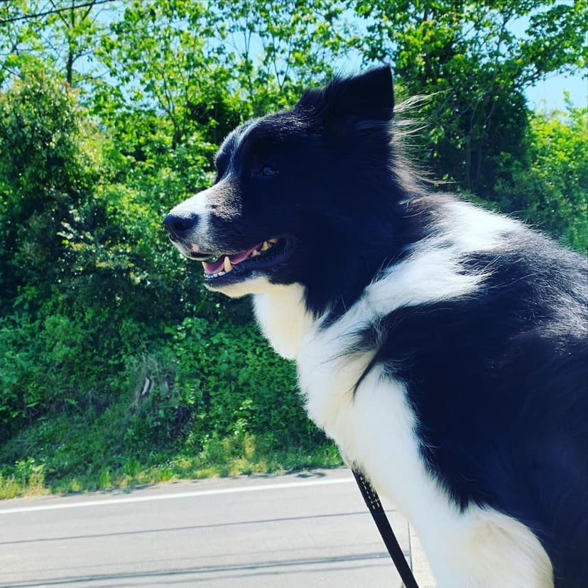 Selected Image Vh2yFrSLm