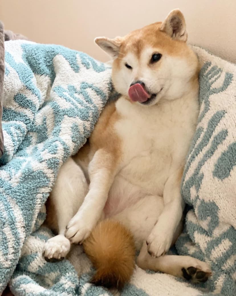 Selected Image YAMPxIL4c