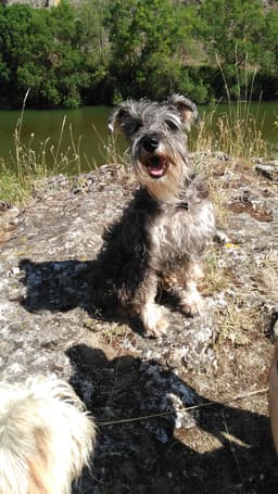 Thumbnail Image YHlx6uL2w