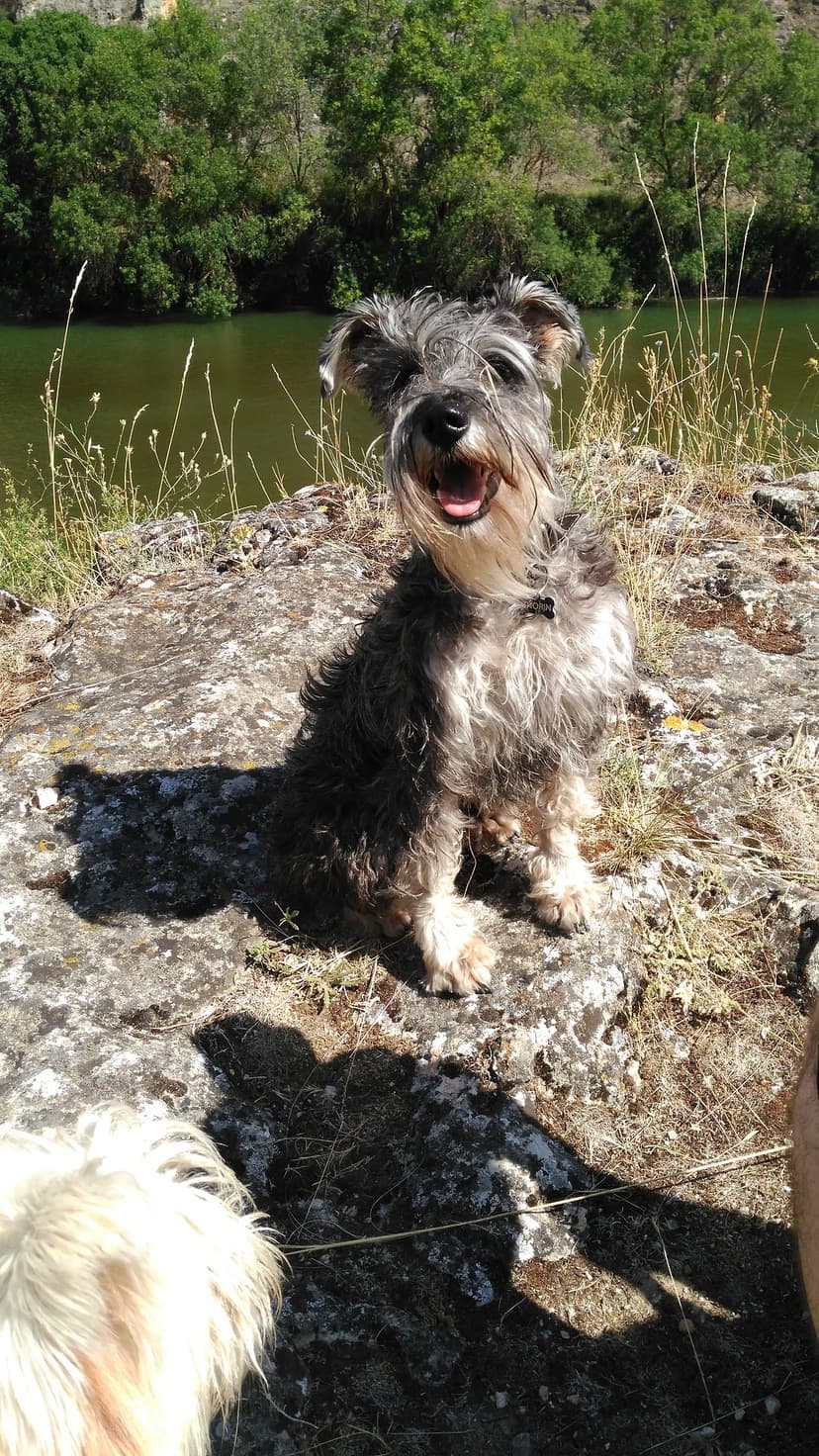 Selected Image YHlx6uL2w