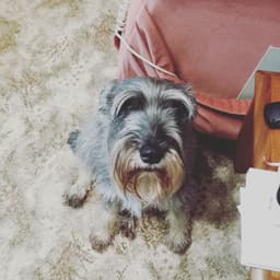 Thumbnail Image YrCbmNAvH