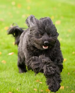 Thumbnail Image ZrJ_J-FIY