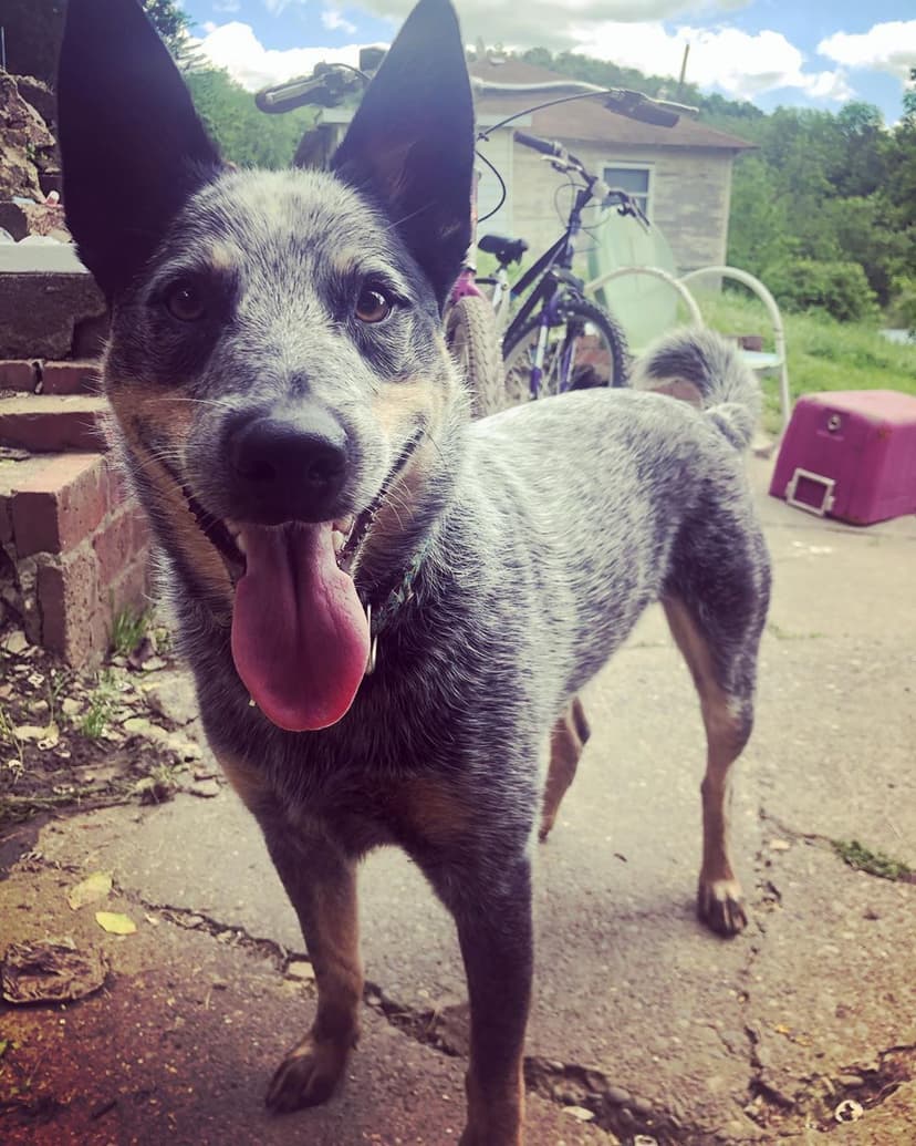 Selected Image ZxP-viFTK