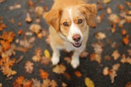 Thumbnail Image abEQrziLx