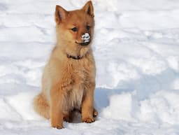 Thumbnail Image fbl5hbwrc