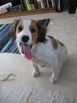 Thumbnail Image g2tW0bptM