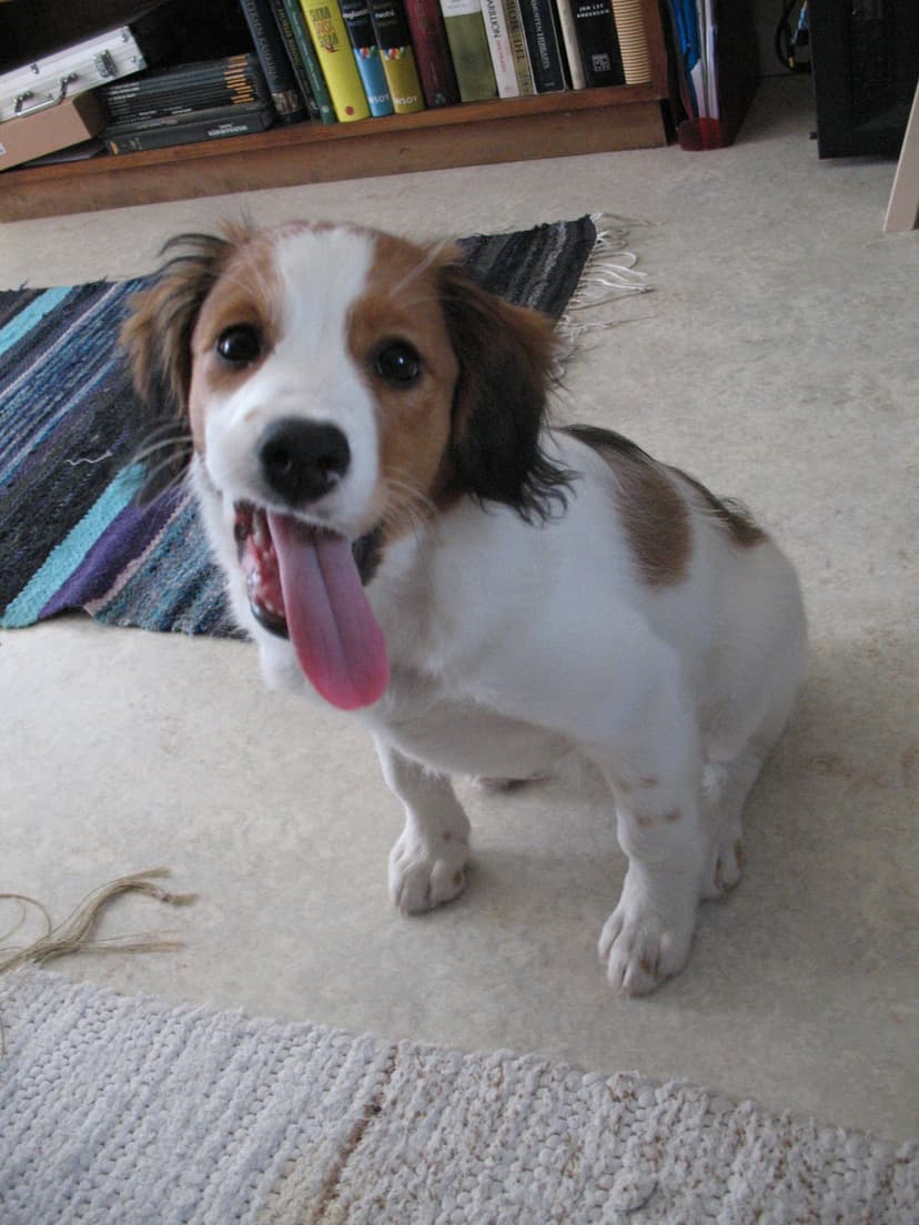 Selected Image g2tW0bptM