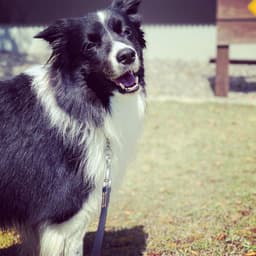 Thumbnail Image hOQCNqMDb