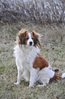 Thumbnail Image lcsQYiWMN