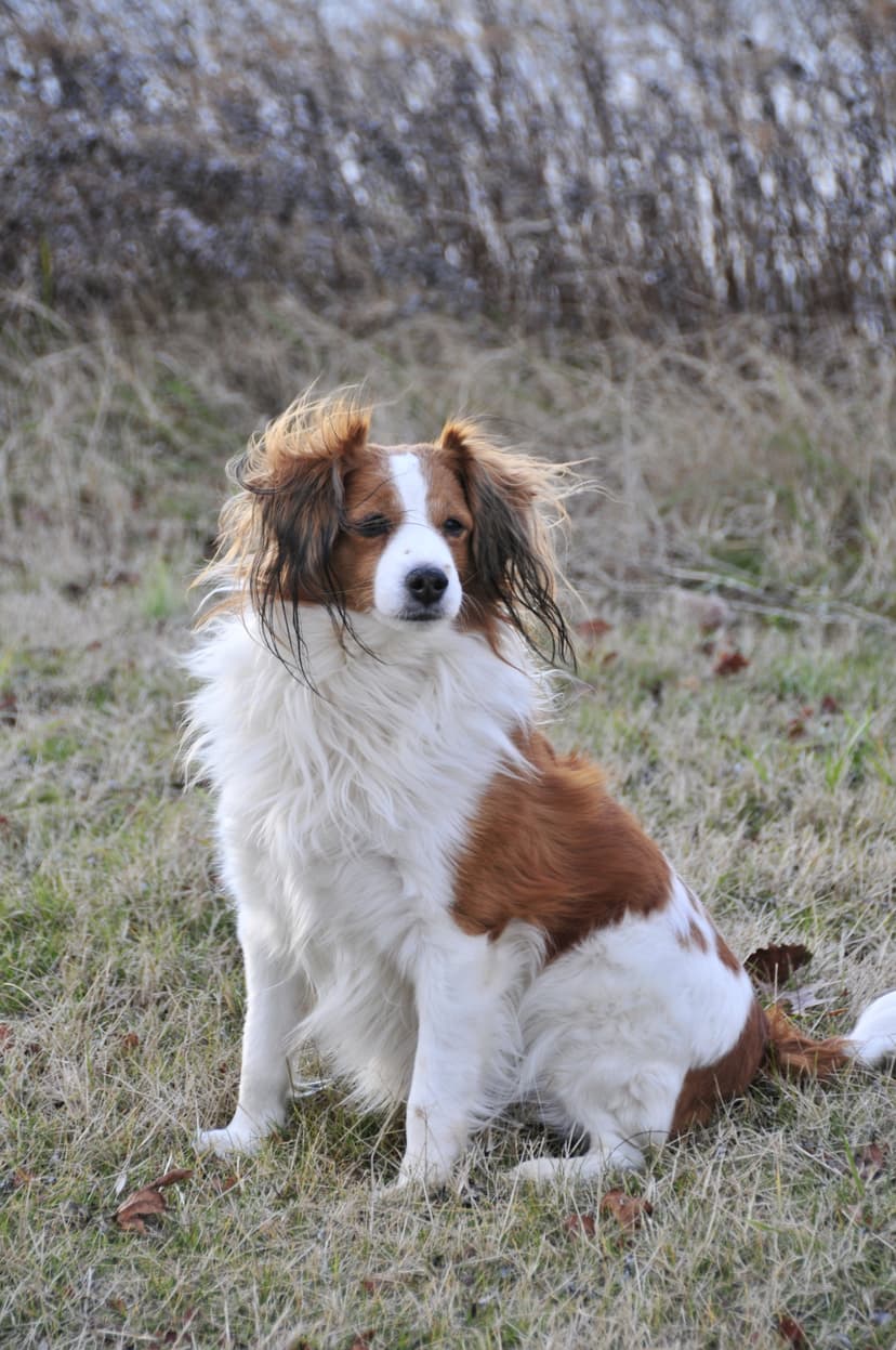 Selected Image lcsQYiWMN