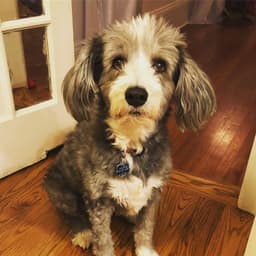 Thumbnail Image n3IbwcZlN