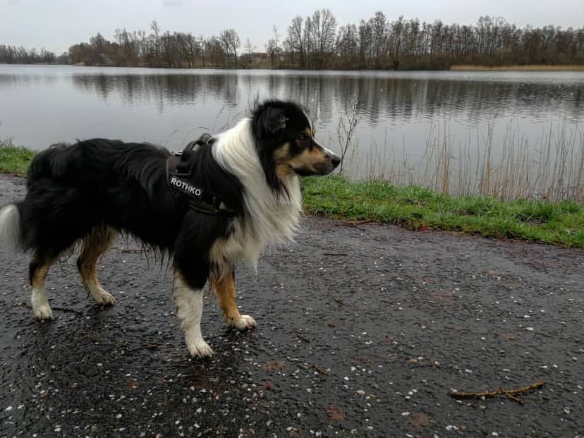 Selected Image pC7MjGeaT