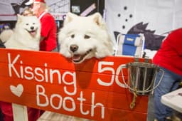 Thumbnail Image phlG3kw1K