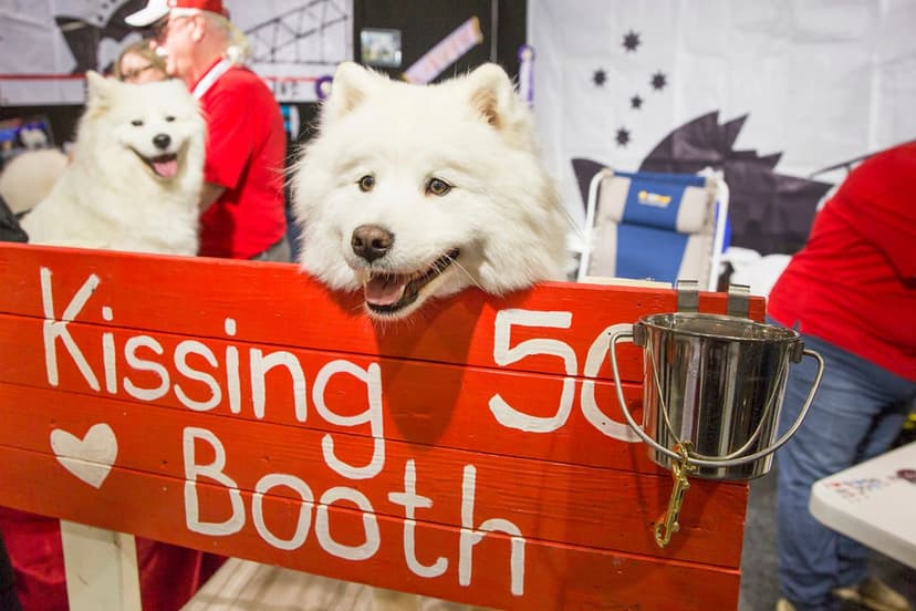 Selected Image phlG3kw1K