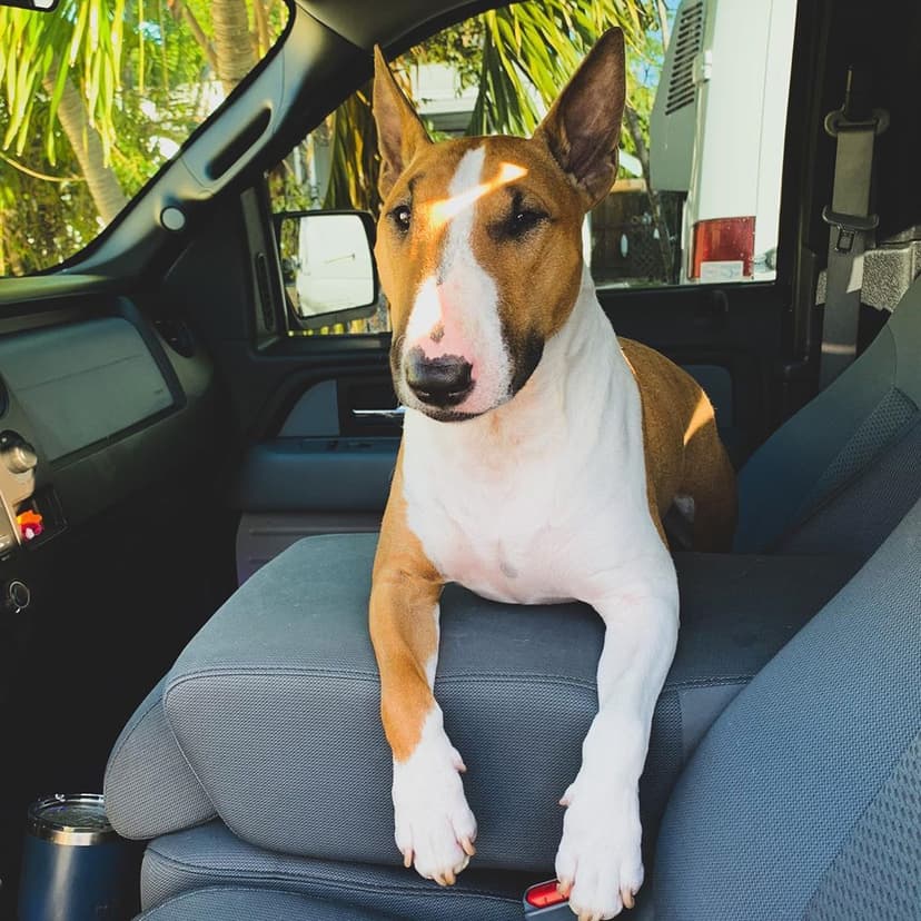 Selected Image q3wSiFZ7m