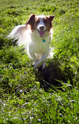 Thumbnail Image qOXvHhXOJ