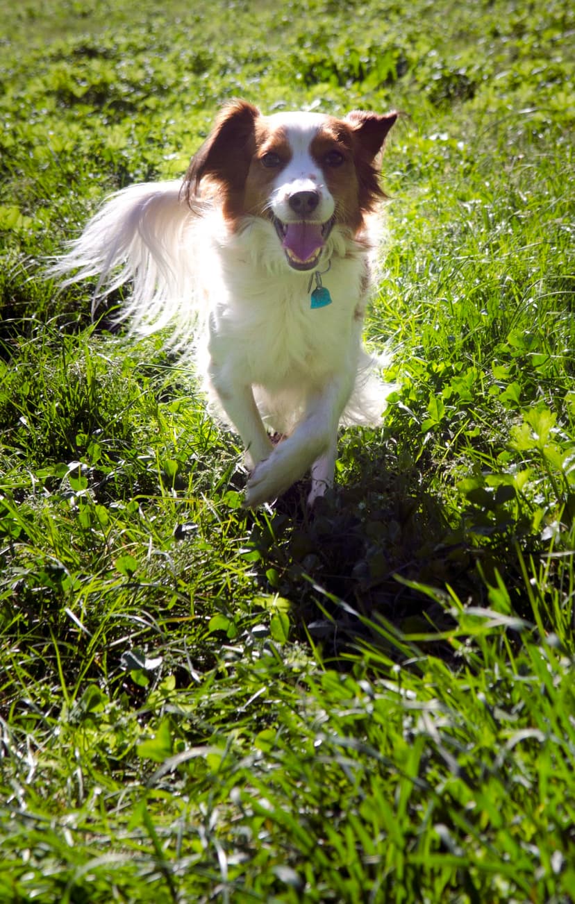 Selected Image qOXvHhXOJ