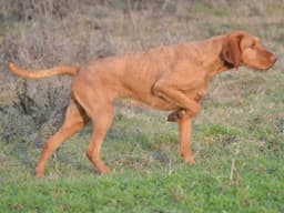 Thumbnail Image r1I4hl5Em