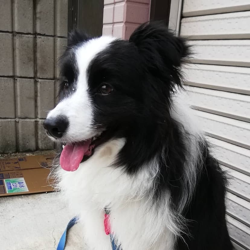 Selected Image rVXxoWhCR