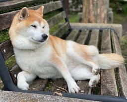 Thumbnail Image rbPXSCiYx