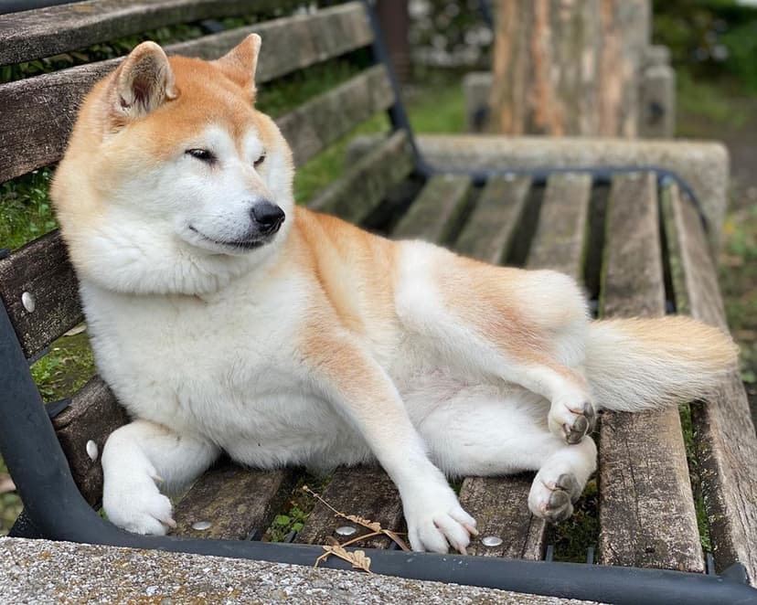 Selected Image rbPXSCiYx